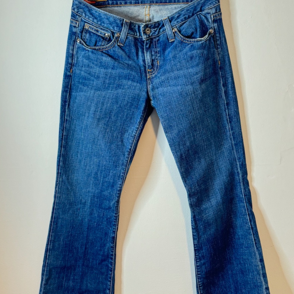 Vintage Y2K Premium Gap Flared Jeans
